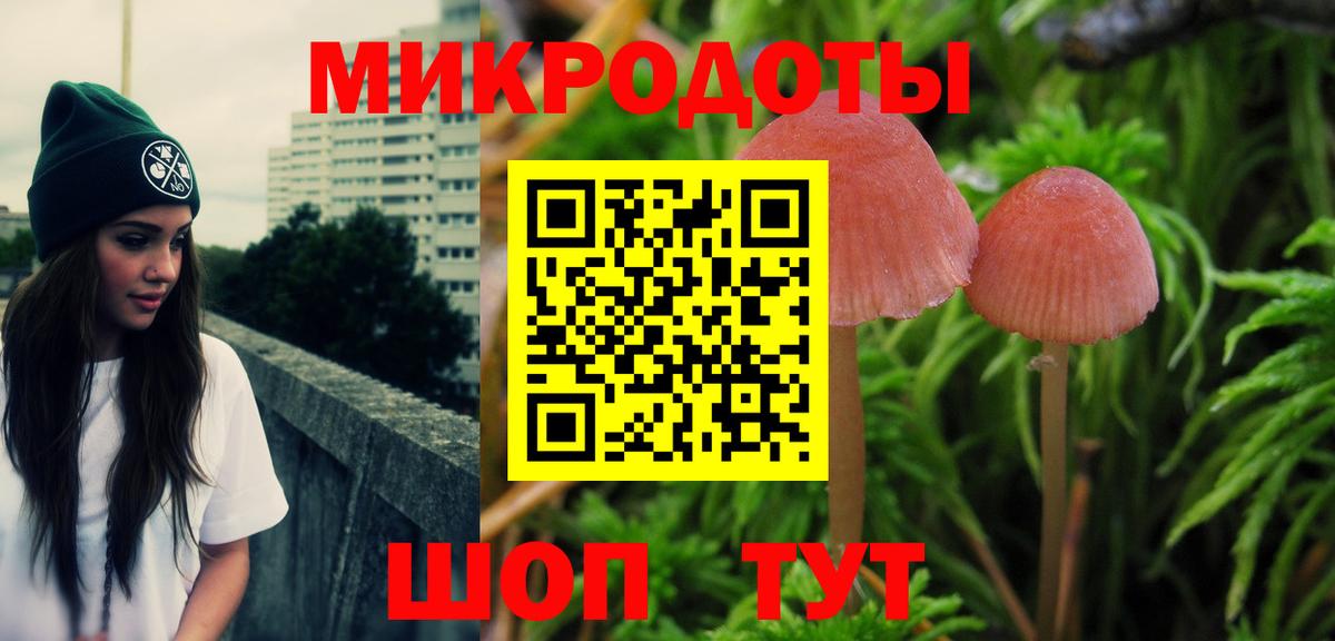 Псилоцибиновые грибы Psilocybine cubensis  Вход с VPN  Котельники 